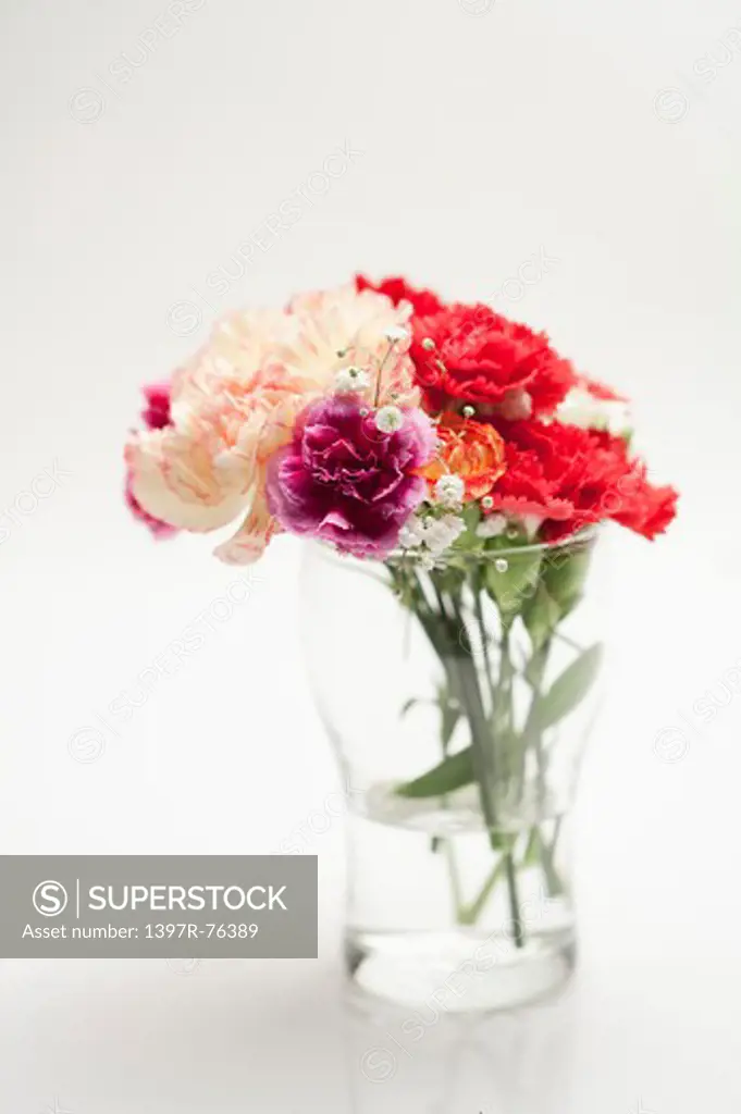 Carnations in the glass bottle