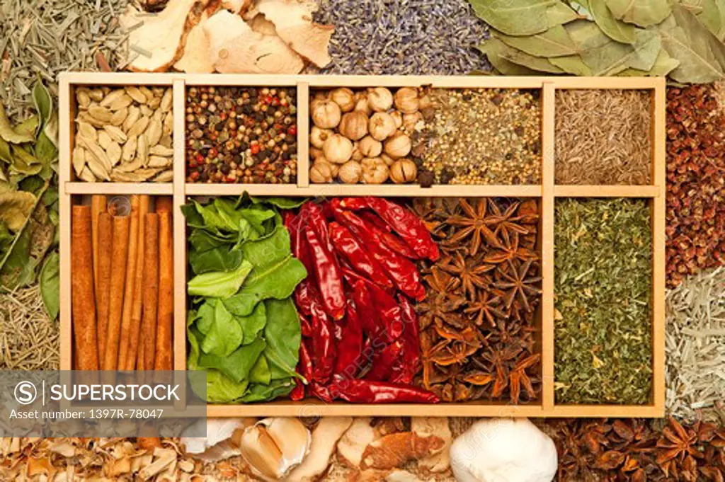 Spice, Pepper, Cardamom, Chili, Lemon Grass, Cinnamon, Star Anise, Galanga, Lavender, Kaffir, Citronella, Garlic, Coriander, Fennel, Rosemary