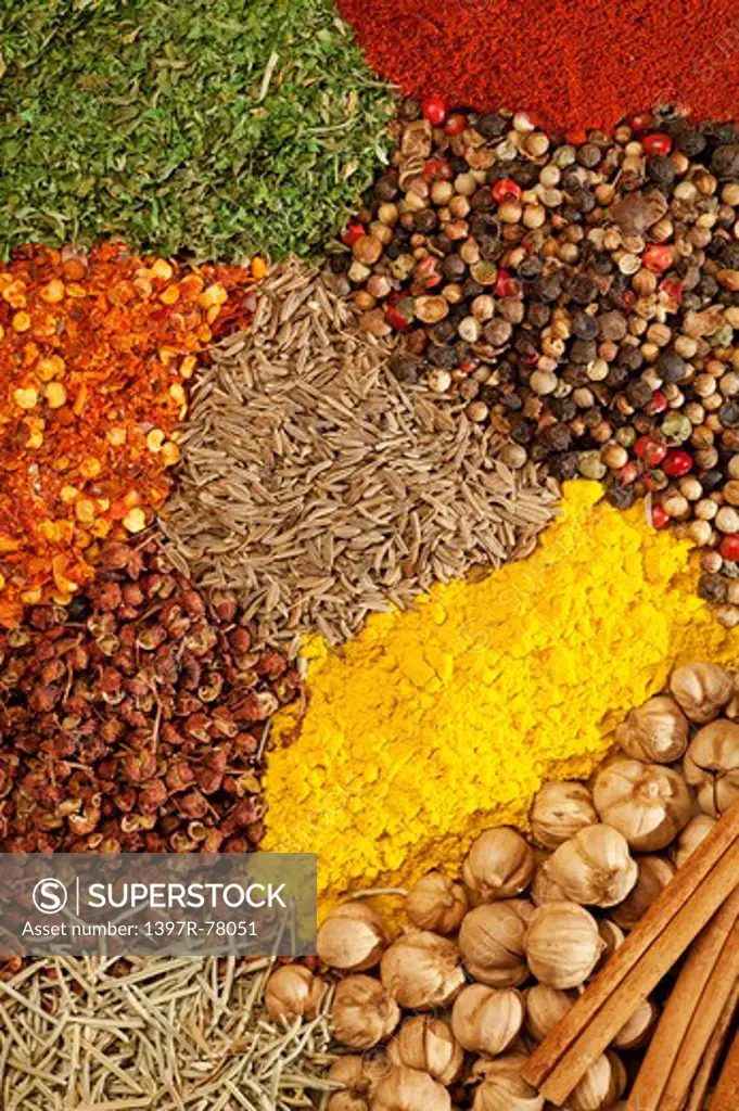 Spice, Pepper, Cardamom, Chili, Lemon Grass, Cinnamon, Coriander, Fennel, Rosemary, Curry Powder, Chili Pepper
