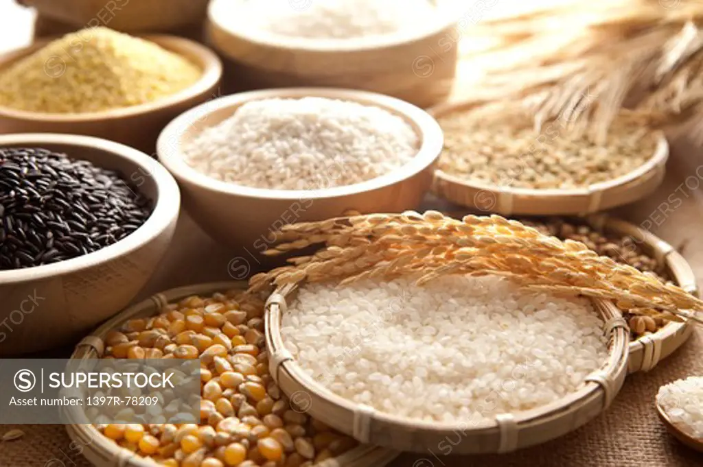 Rice, Glutinous Rice, Corn, Millet, Ear of Wheat, Wheat, Barley