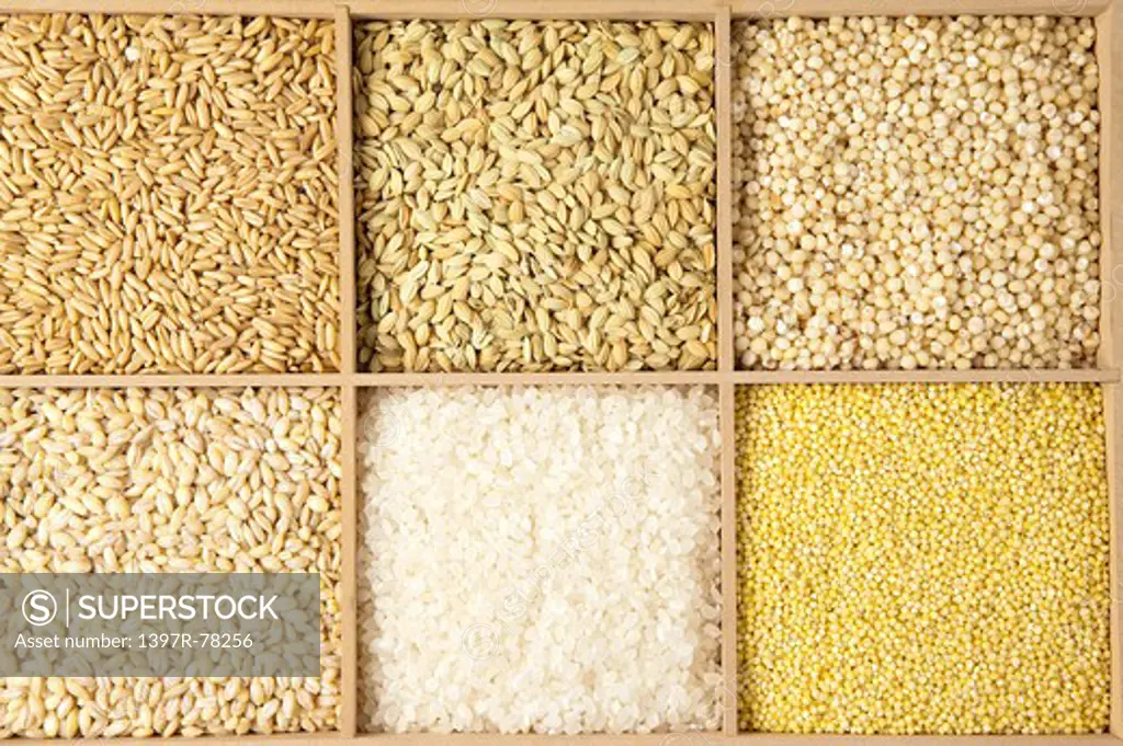 Rice, Sorghum, Millet, Barley, Oat