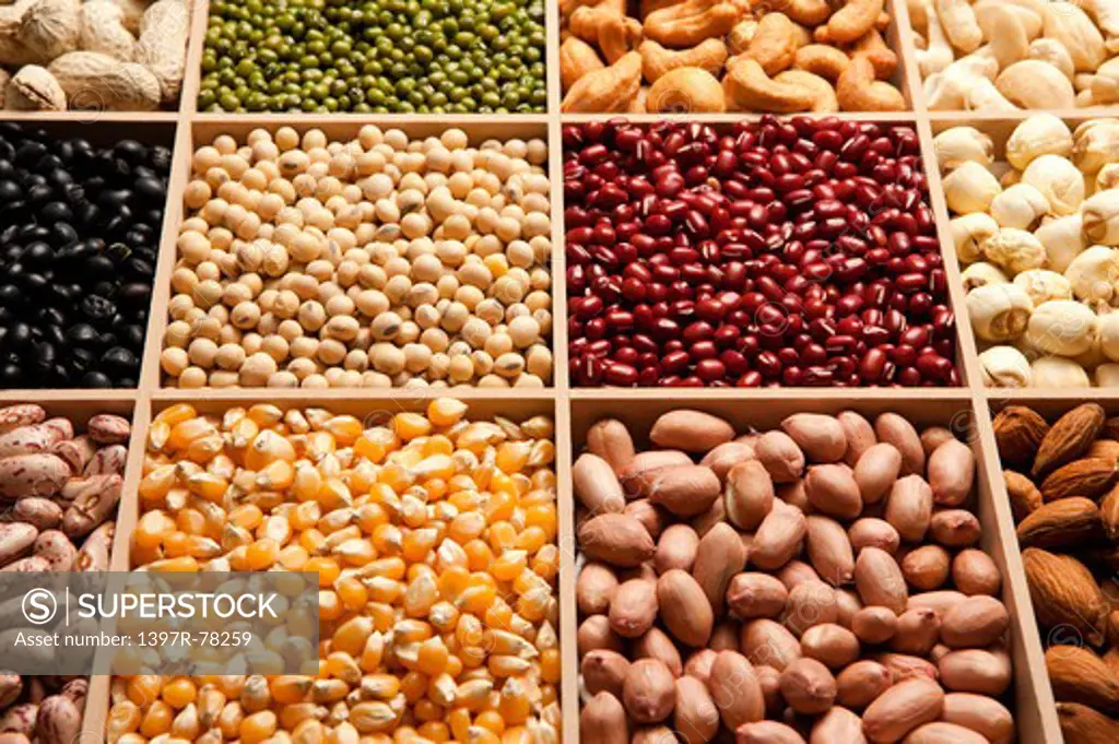 Red Bean, Soybean, Corn, Peanut, Mung Bean, Cashew Nut, Lotus Seed