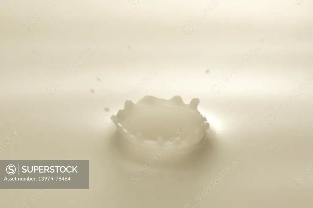 Splash in milk creating crown of milk droplets, close-up