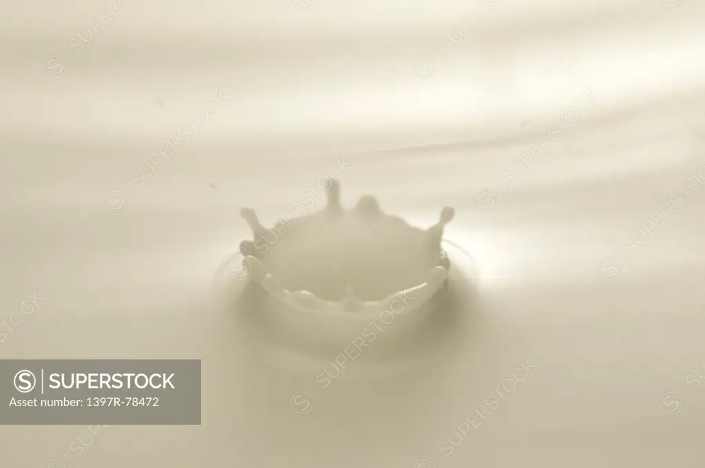 Splash in milk creating crown of milk droplets, close-up