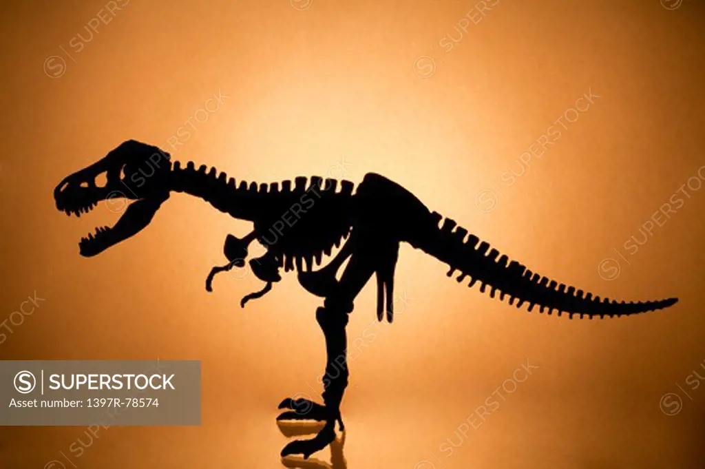 Dinosaur skeleton silhouette
