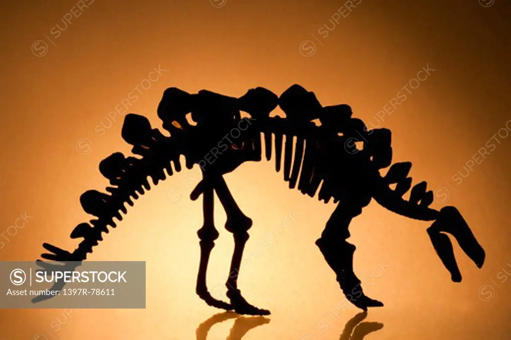Stegosaurus skeleton silhouette