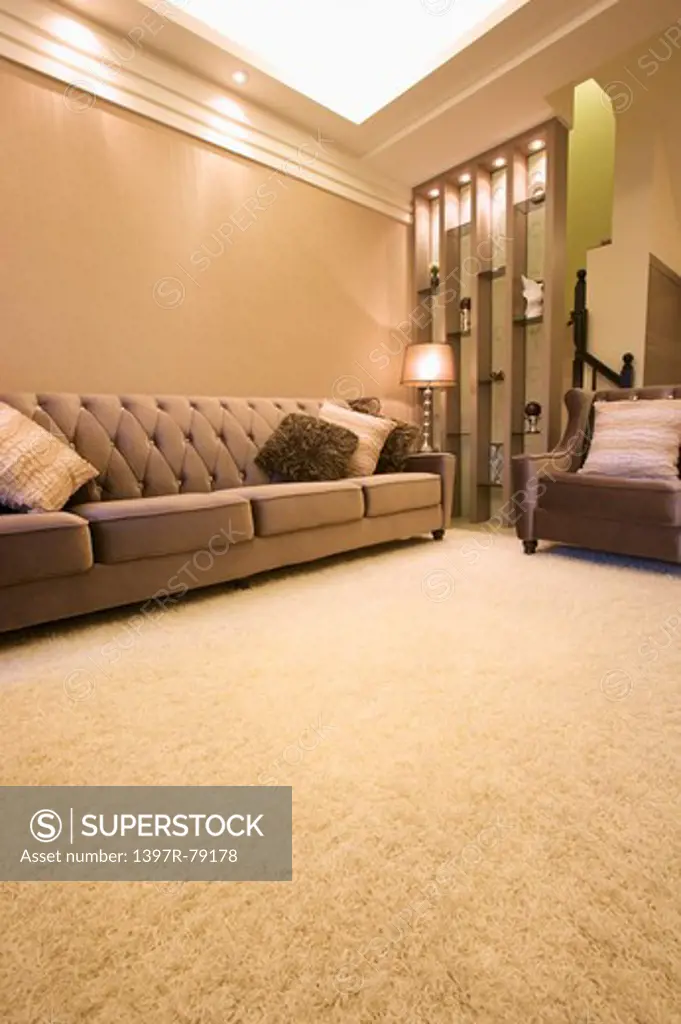 Modern living room with shag rug