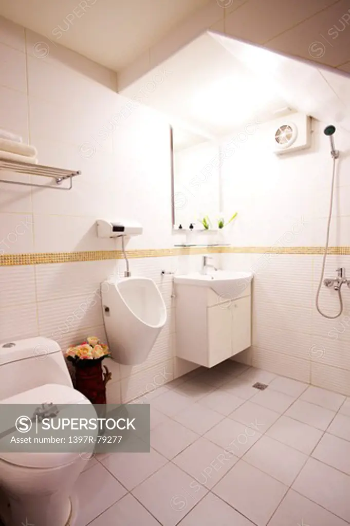 Toilet bowl and urinal in modern bathroom