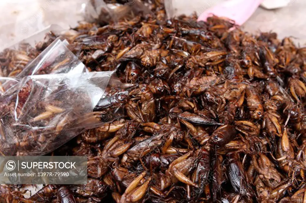 Fried cockroaches,Thailand,Asia