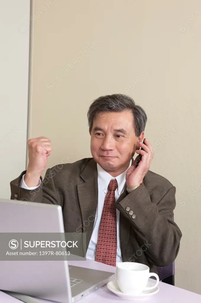Business man looking at laptop and on the phone