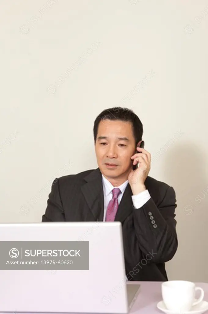 Business man looking at laptop and on the phone