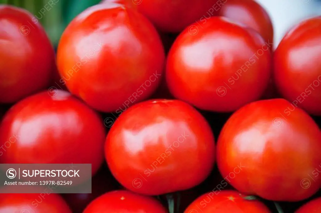 Tomato, Vegetable, Pingtung, Taiwan, Asia,