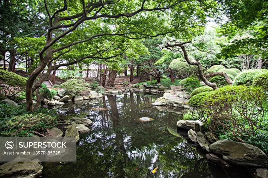Hokkaido, Japan, Asia, Formal Garden,