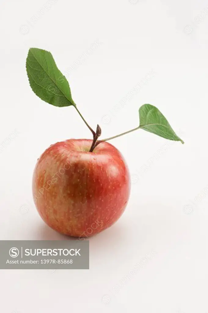 Apple, Fruit,