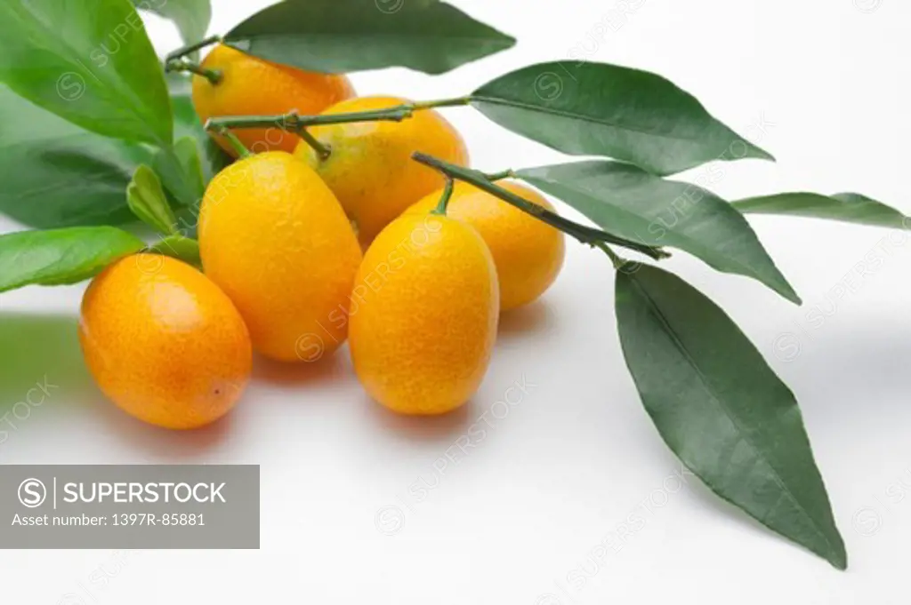 Kumquat, Fruit,