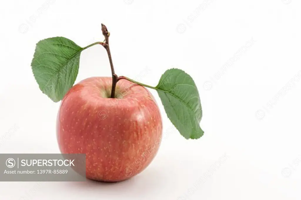 Apple, Fruit,