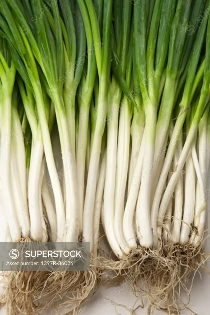 Spring Onion, Vegetable,