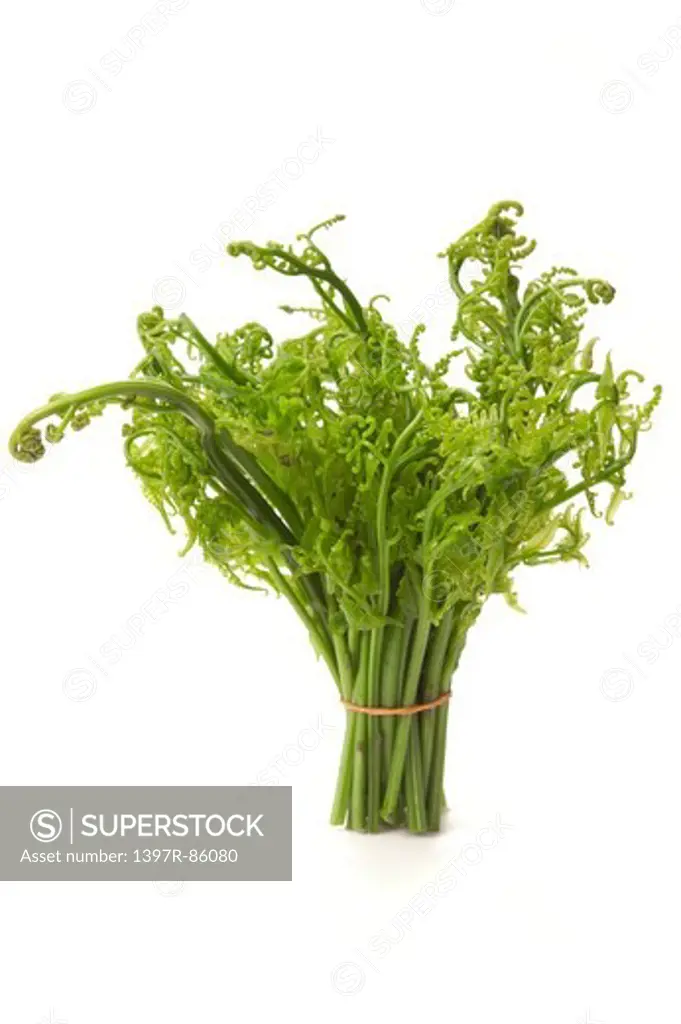 Vegetable,