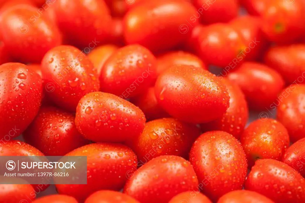 Tomato, Vegetable,