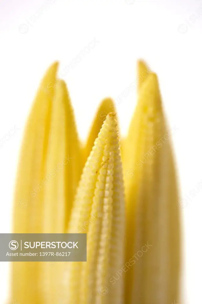 Baby Corn, Vegetable,
