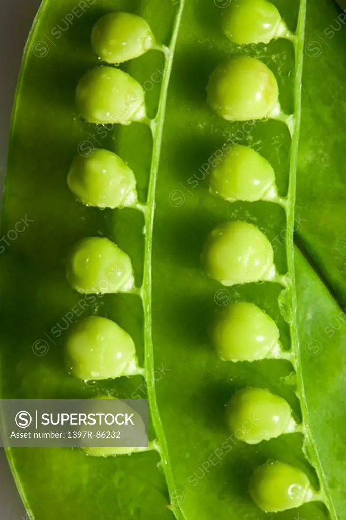 Green Pea, Legume, Vegetable,