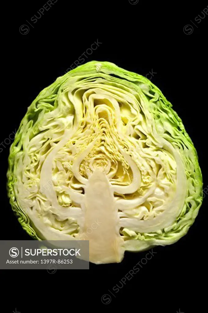 Cabbage, Vegetable,
