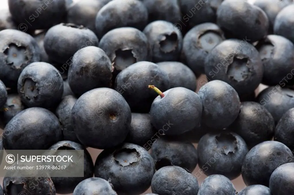 Blueberry, Fruit,
