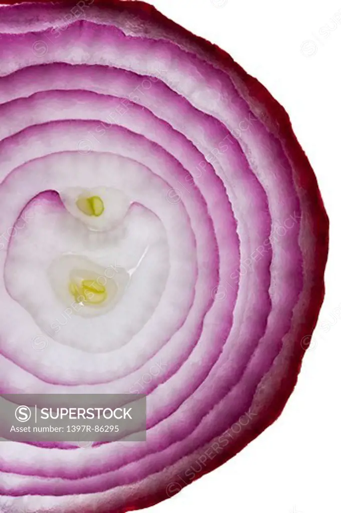 Onion, Vegetable,