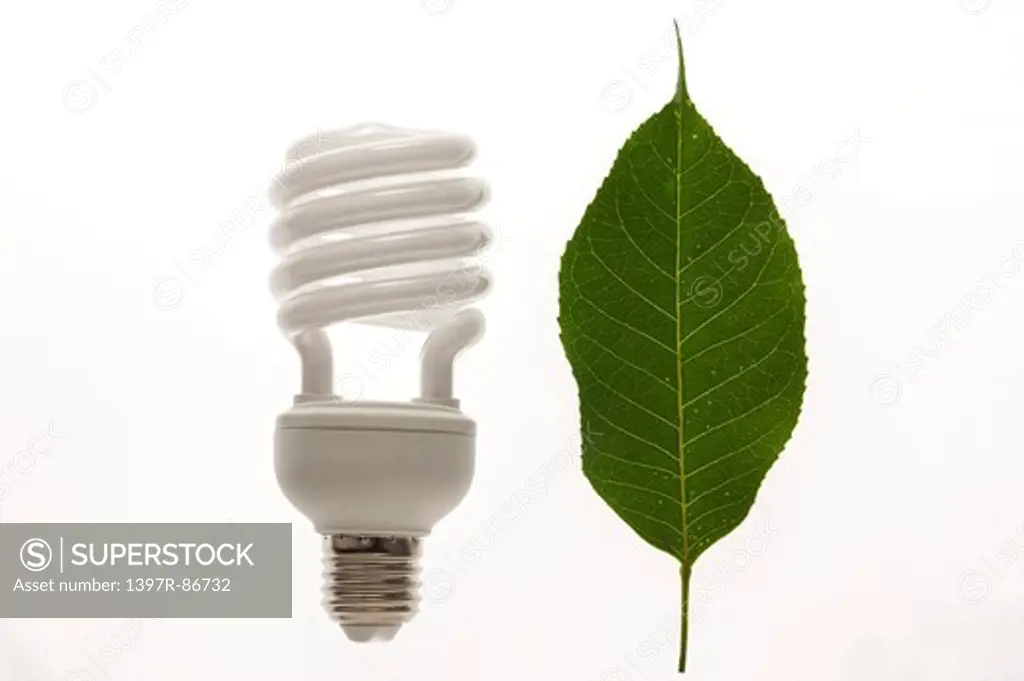 Energy saving light bulb and green leaf