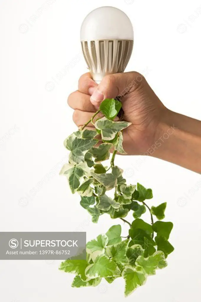 Human hand holding light bulb and green plant