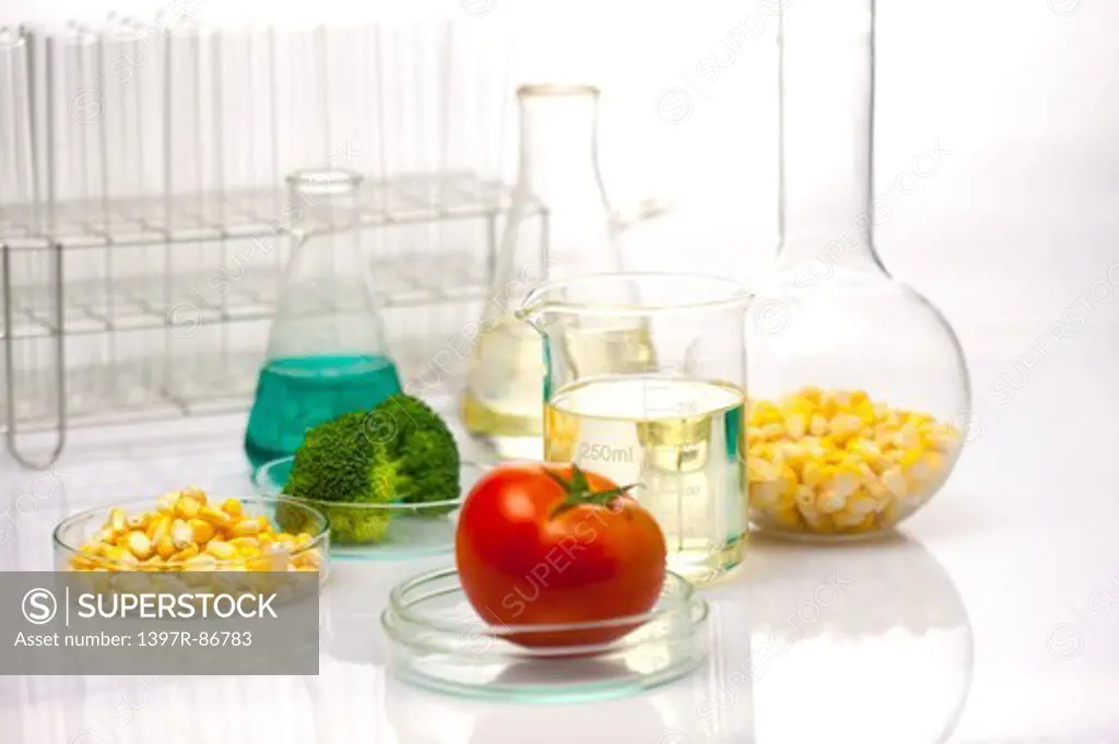 Vegetables in lab glasswares