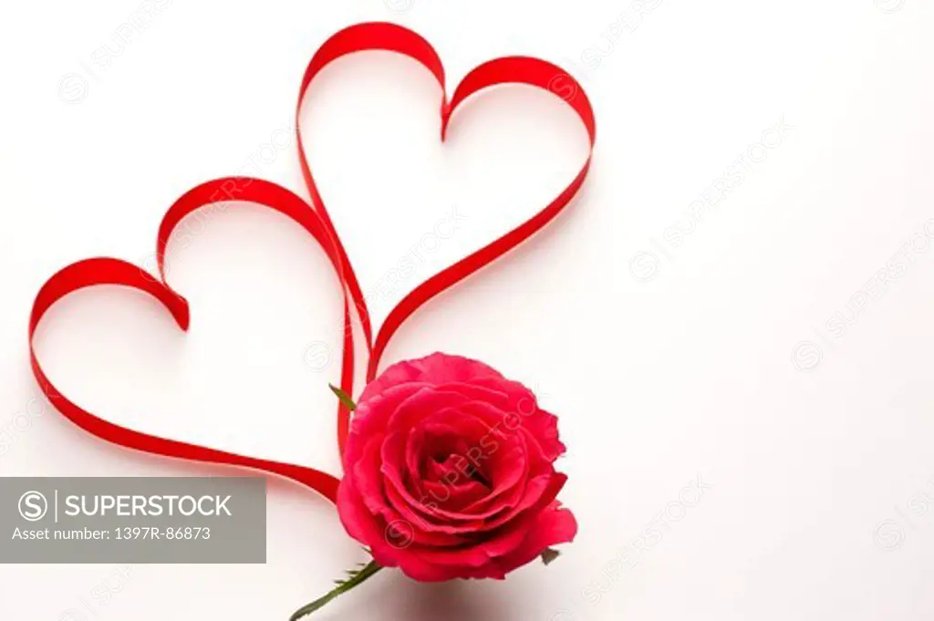 Red ribbons in heart shape with red rose