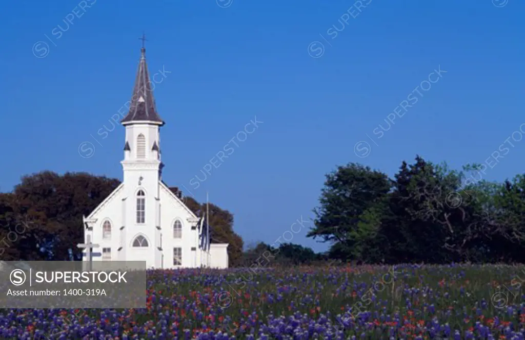 Flowers in front of a church, Texas, USA