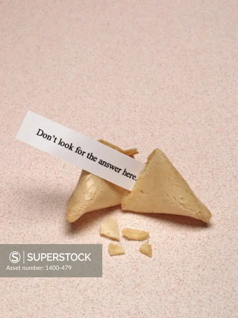 Close-up of a fortune cookie with a message