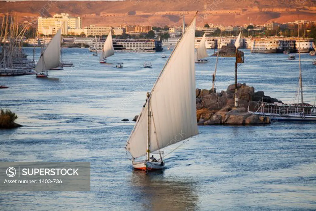 Egypt, Aswan, Feluccas sail on Nile River