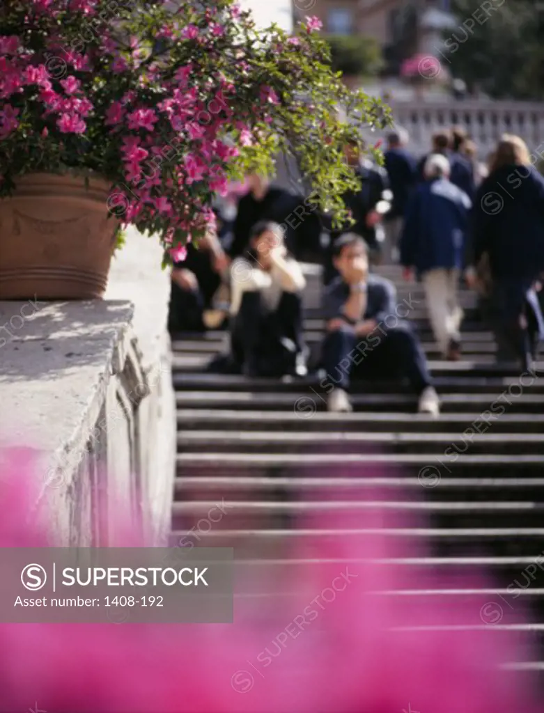 People sitting on steps, Spanish Steps, Rome, Italy