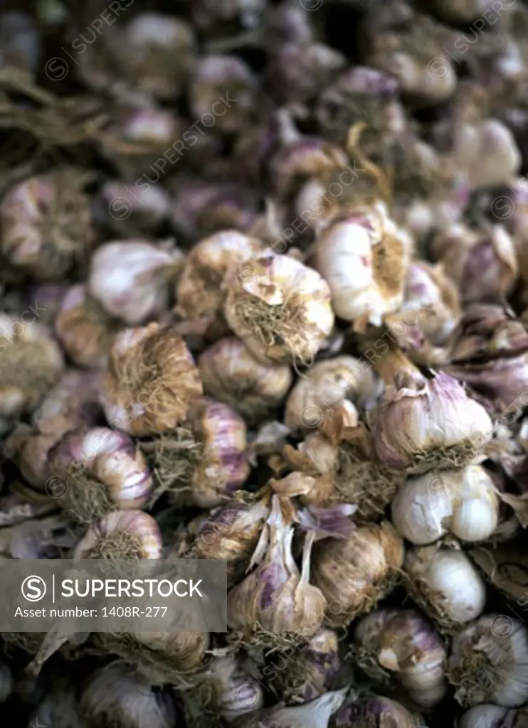 Heap of garlic