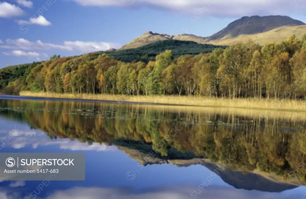 Reflection of trees in a lake, Ben Lomond, Scotland