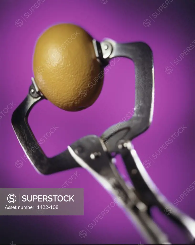 Close-up of an orange trapped in a clamp