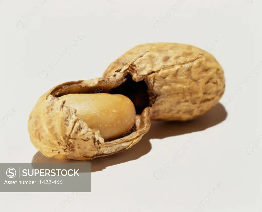 Close-up of a peanut