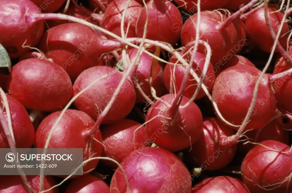 Close-up of a heap of radishes