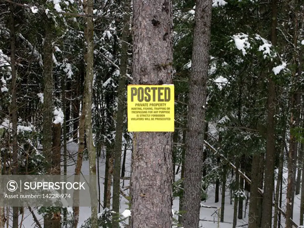 Posted private property sign on a tree in the woods