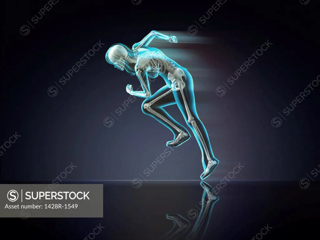 Blue X-ray of woman's skeleton running on dark blue background