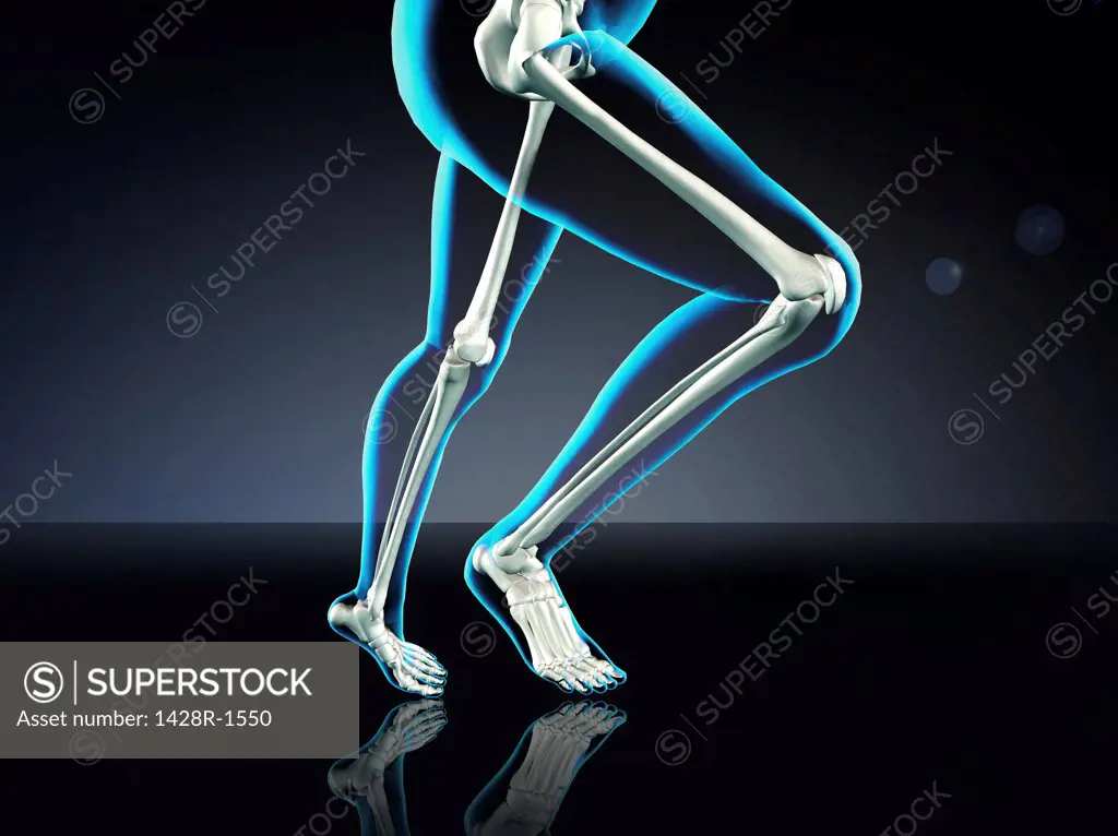 Blue X-ray of woman's leg bones running on dark blue background