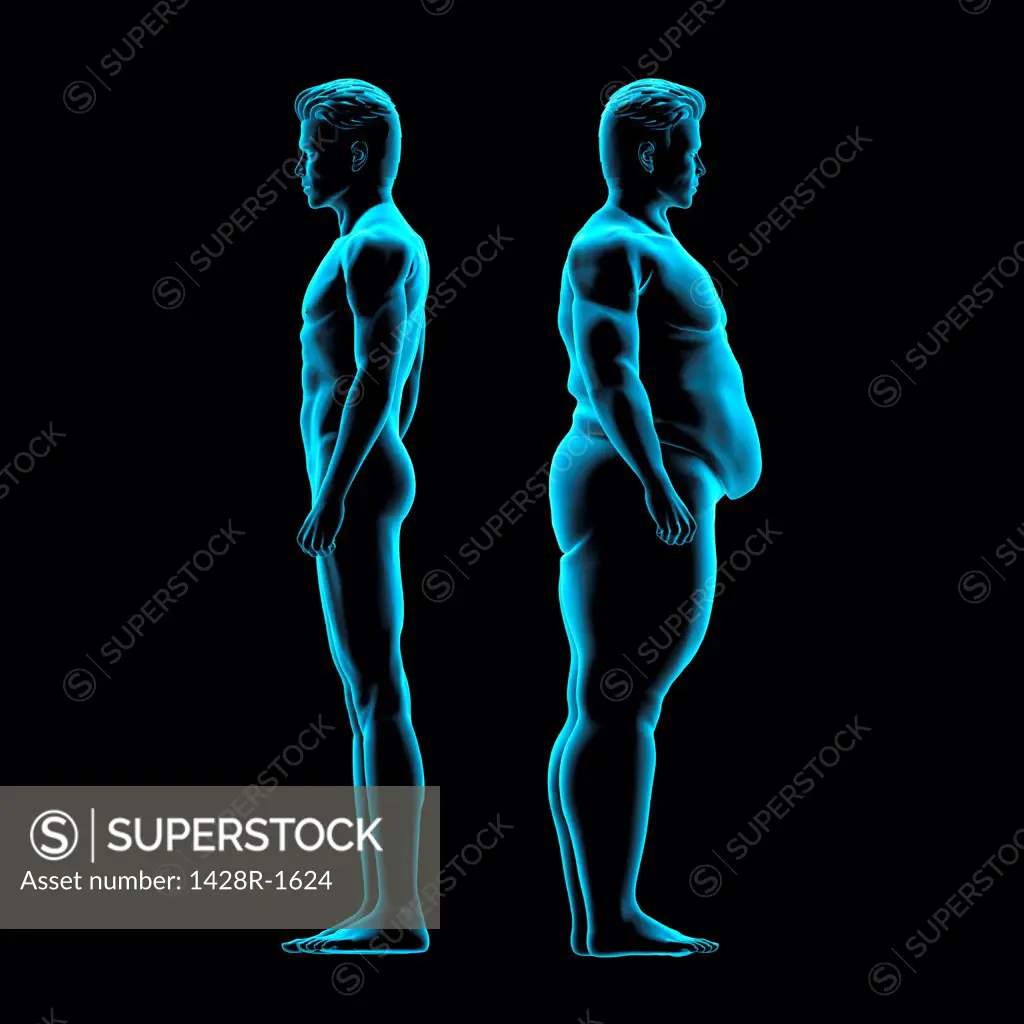 Thin and obese men back to back, X-ray image