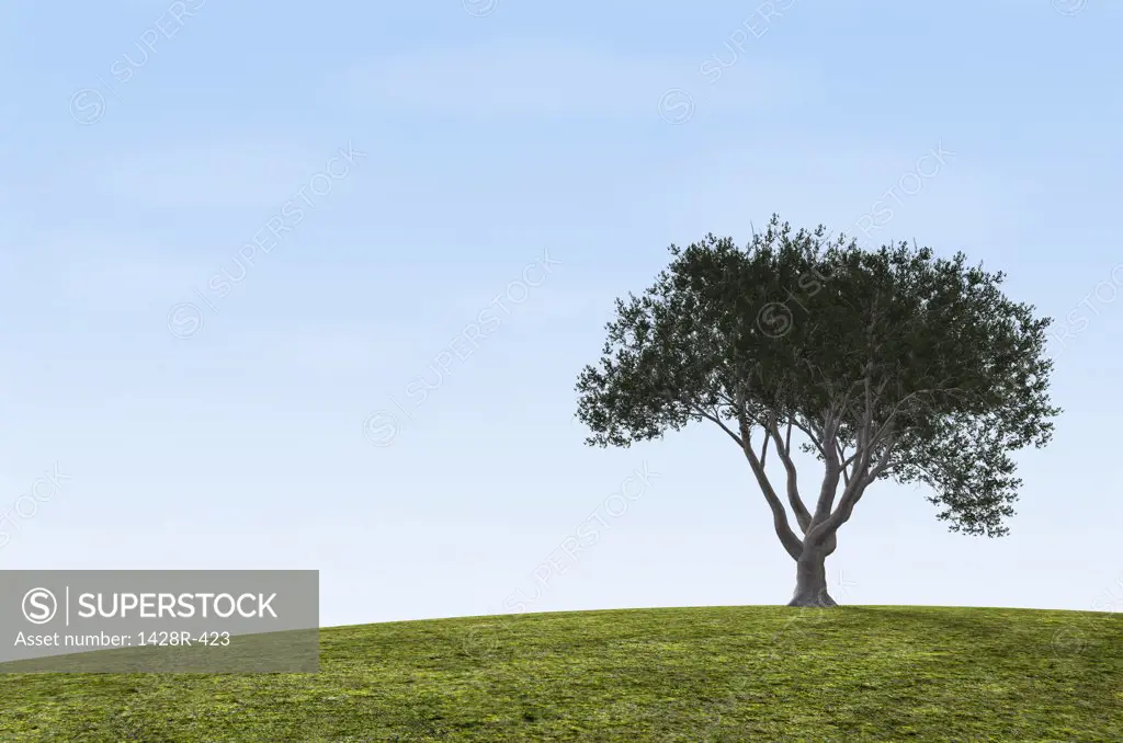 Oak tree and Grass, Digitally Generated Image by Hank Grebe