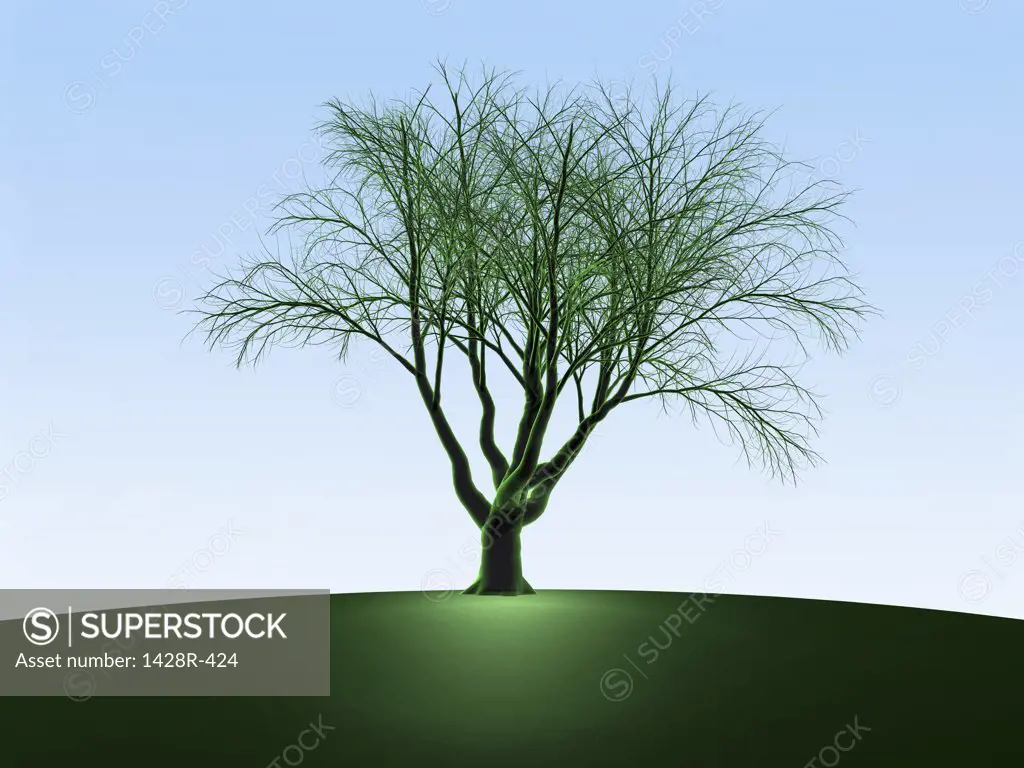 Green Oak Tree, Digitally Generated Image by Hank Grebe