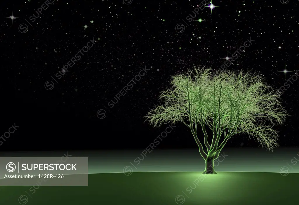 Green Oak Tree at Night II, Digitally Generated Image by Hank Grebe