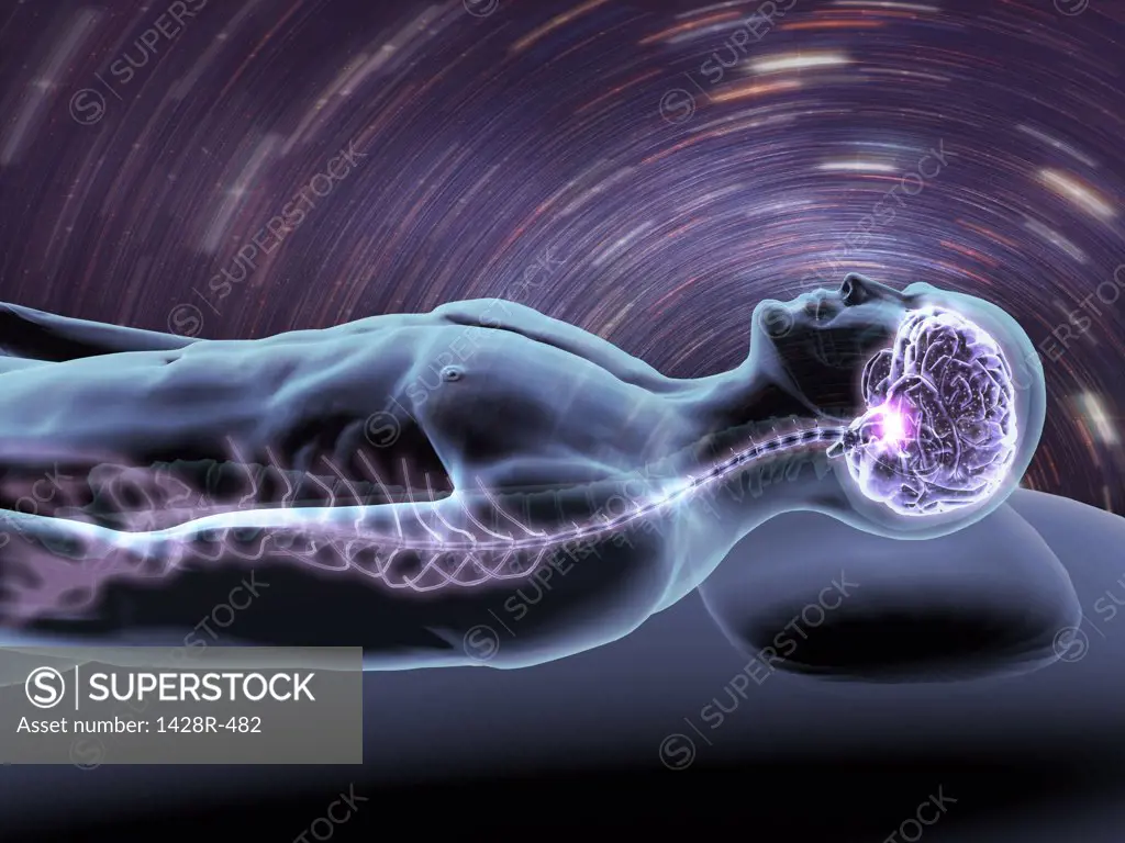 X-ray view of a man dreaming with view of brain and spinal cord