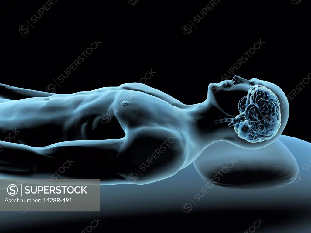 X-ray view of a man resting with view of brain